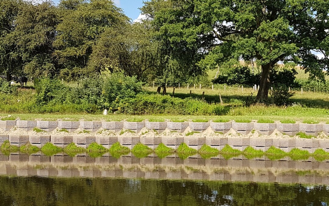 Des blocs de béton disposés en terrasses le long d'une rive