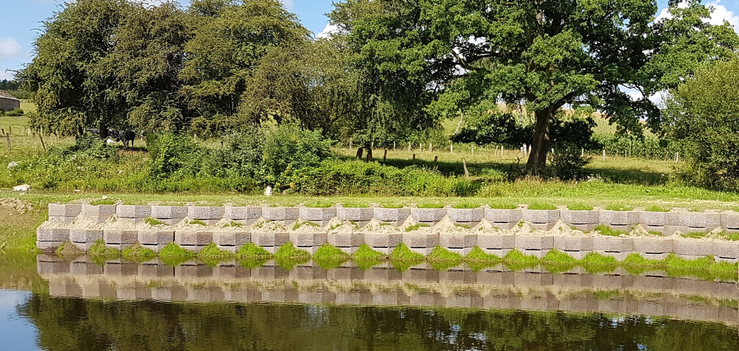 Des blocs de béton disposés en terrasses le long d'une rive