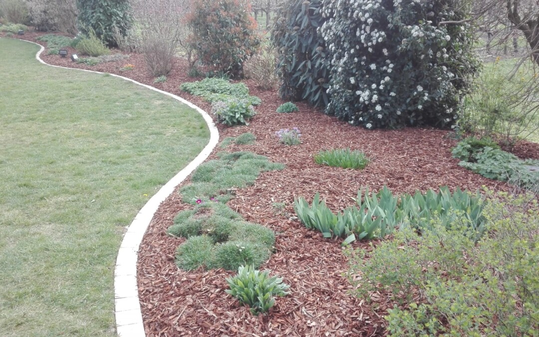 Une bordure de pelouse en béton séparant l'herbe d'un parterre de jardin