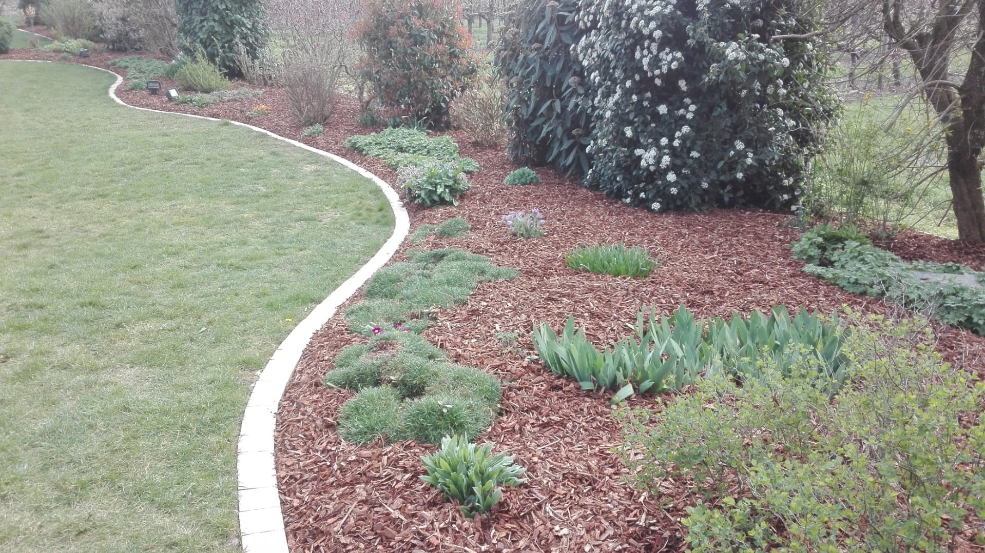 Une bordure de pelouse en béton séparant l'herbe d'un parterre de jardin