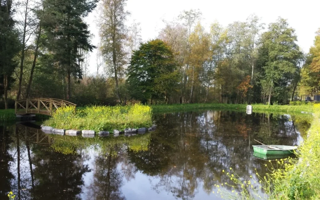 étang avec des berges nettes et bien végétalisées.