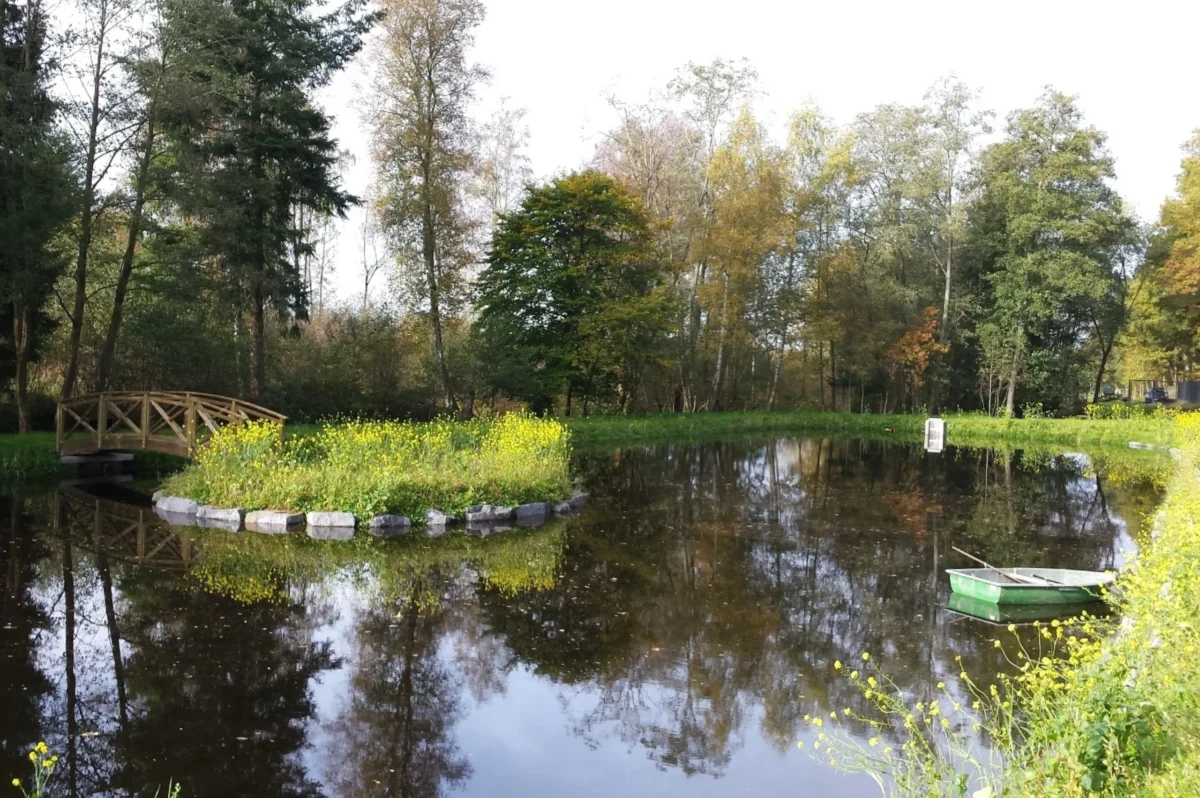 étang avec des berges nettes et bien végétalisées.